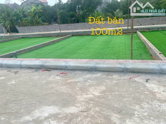 Bán gấp 100m2 full thổ cư 2 mặt đường giá hơn 1 tỷ tại minh trí síc sơn hà nội - 3