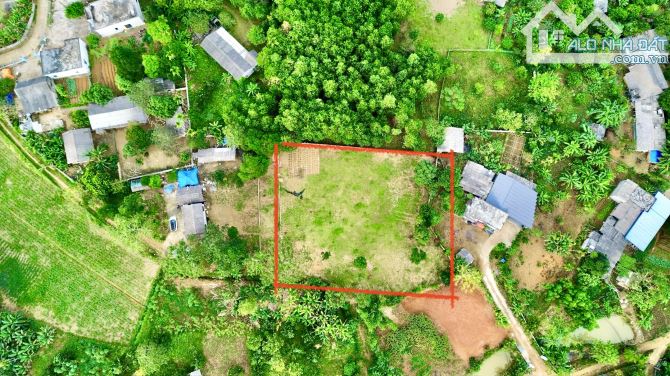 1 Tỷ 500 Triệu = 2000m Có 500m Đất Ở - Đất Bằng Phẳng Vuông Vắn Đẹp - 3