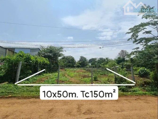 LÔ THỔ CƯ 10x50m EA NUÔL - BUÔN ĐÔN - ĐAKLAK 890Tr🍓 - 4