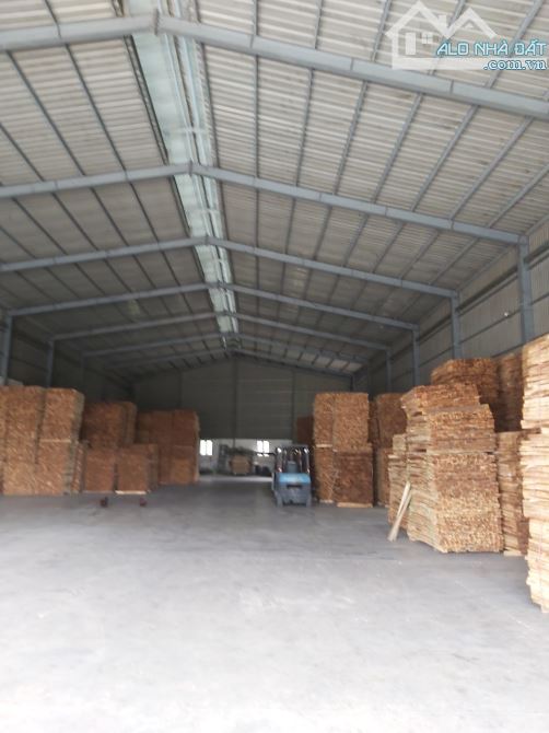 Cho thuê kho xưởng 800m2 - 1200m2 - 2300m2 - 2500m2 - 8000m2 pháp lý đầy đủ TP Thuận An BD - 5