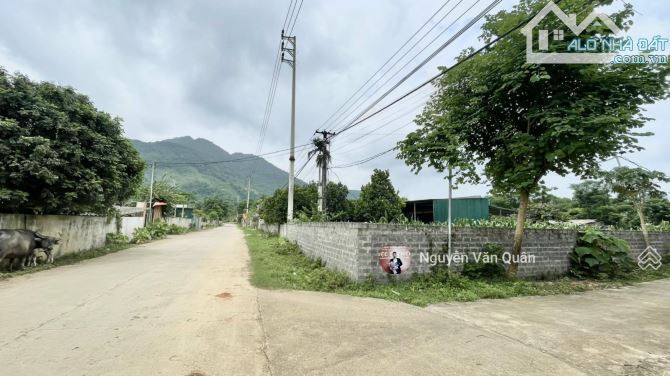 Giá 3.5 tỷ! 1.000m2 lô góc 2 mặt tiền, gần Satoyama Cư Yên, đường 3 ô tô, phù hợp phân lô! - 1