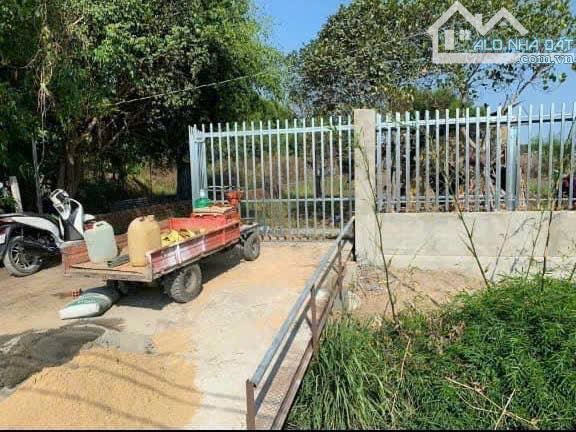 Cắt lỗ bán gấp đất thổ Nhơn Trạch, xây nhà vườn,giá rẻ 3,6ty/981m, oto, sổ riêng chính chủ - 4