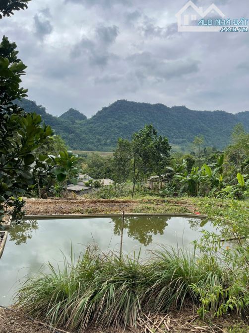 Bán gấp 3900M_400M đất ở đô thị_cách cao tốc 700M_Đà Bắc Hoà Bình_1,x tỷ - 2