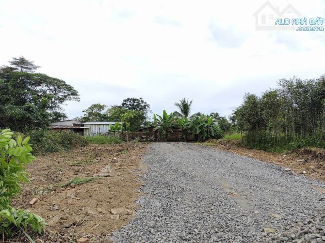 Đất Bùi Chu, Bắc Sơn, TB. 1200m2 (40x30) cách ql. 1a 300m. Giá Chỉ 3,7 tỷ. - 2