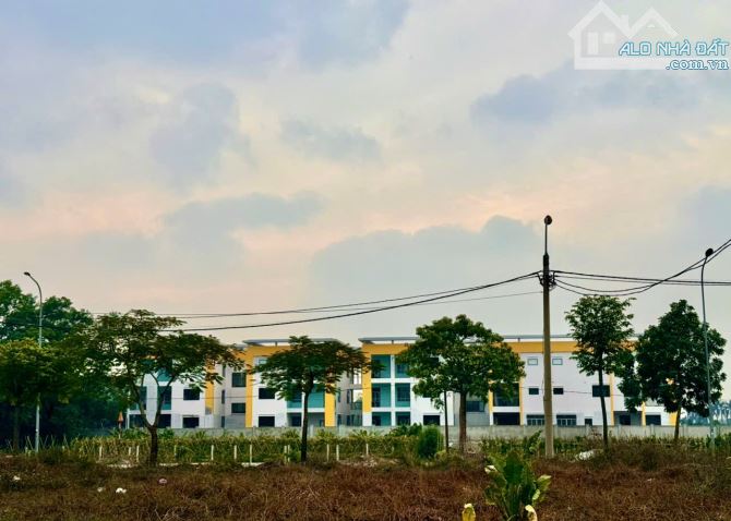 Bán 80m2 đất đấu giá X2 Sơn Du Nguyên Khê Đông Anh giá rẻ nhất thị trường - 2