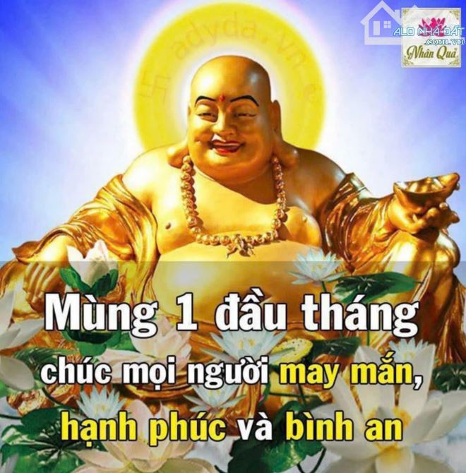 Bán Nhanh 78m đất sen trì 2 mặt tiền ngay trục chính gần cnc HÒA LẠC - 3