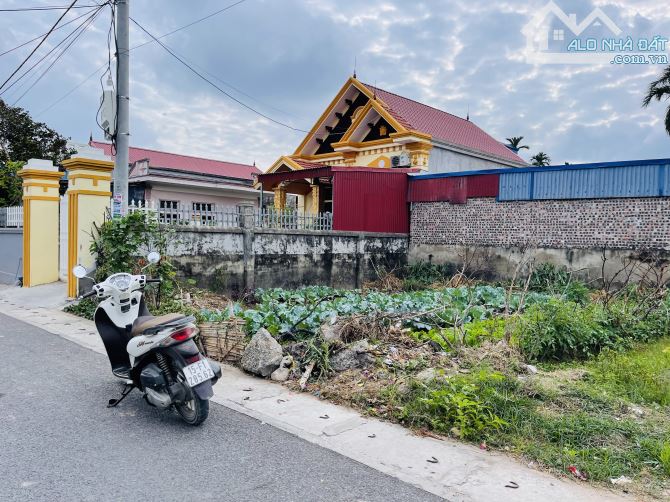 Bán đất Hoà Nhất - Ngũ Đoan - Kiến Thụy - Hải Phòng - 4