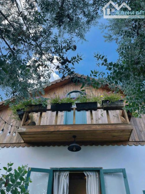 HOME XINH 245M ĐƯỜNG TRẠNG TRÌNH CÁCH HXH 2 PHÚT GIÁ 11 TỶ