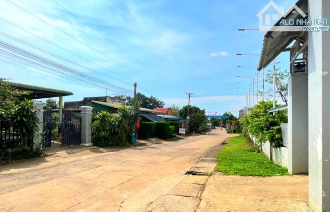 Cần bán 5300m2 đất full hồng, đường ô tô, ngang 50m, nở hậu, viêw hồ Trị An.