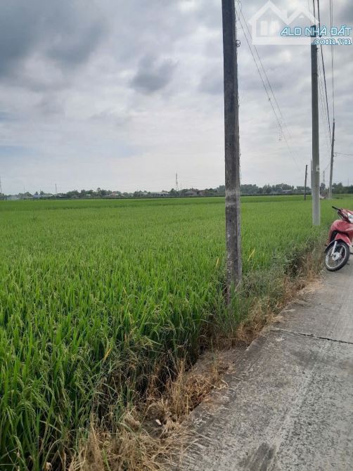 5×24 thổ Lạc tấn_Tân trụ_Long An đường bê tông 4m đường thông 395 triệu rẻ nhất khu