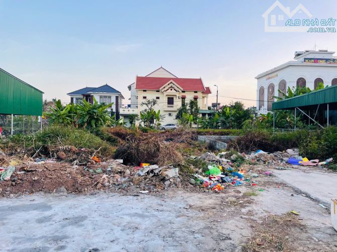 Bán đất Tân Linh - Minh Tân - Kiến Thụy - Hải Phòng - 1