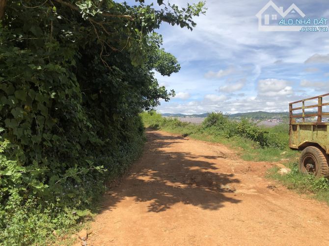 BÁN ĐẤT NÔNG NGHIỆP VIEW ĐẸP THỊ TRẤN LẠC DƯƠNG, HUYỆN LẠC DƯƠNG - 8 TỶ - 1