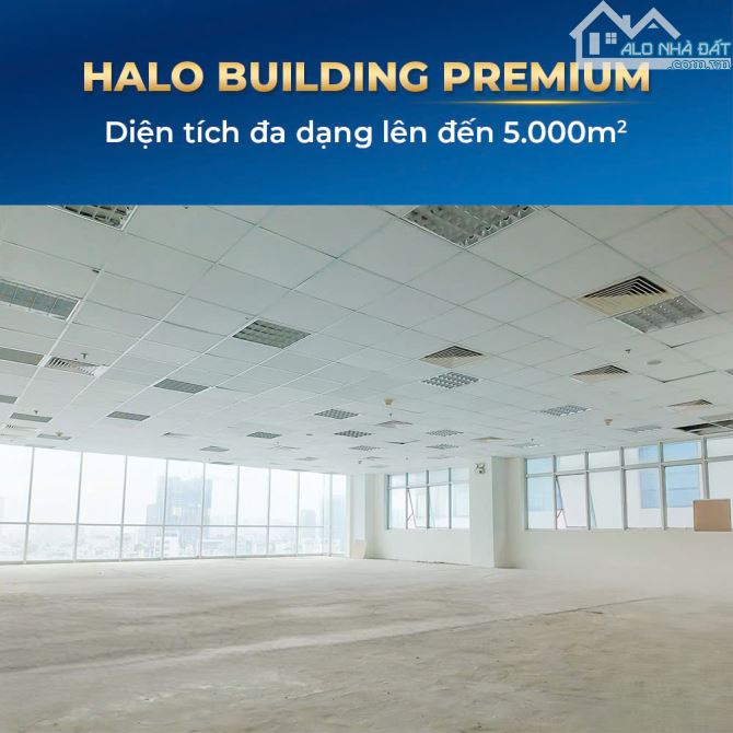 Cho thuê sàn văn phòng Premium ngay Bùi Thị Xuân, Quận 1 120m2 - 170m2 - 250m2 - 315m2 - 2