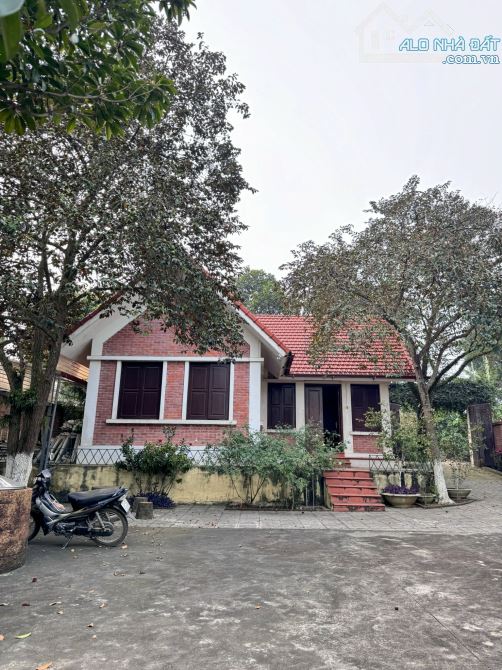 Lô đất 4200m có 1176m thổ cư bám hồ sen, xung quanh là các Home stay kinh doanh - 2