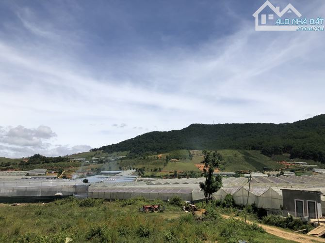 BÁN ĐẤT NÔNG NGHIỆP VIEW ĐẸP THỊ TRẤN LẠC DƯƠNG, HUYỆN LẠC DƯƠNG - 8 TỶ - 2