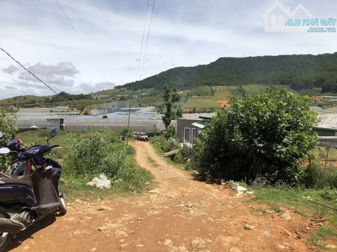 BÁN ĐẤT NÔNG NGHIỆP VIEW ĐẸP THỊ TRẤN LẠC DƯƠNG, HUYỆN LẠC DƯƠNG - 8 TỶ - 3