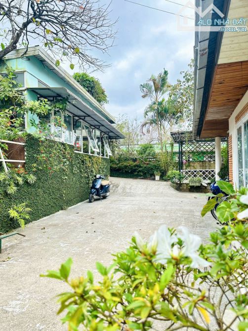 Hiếm: Villa Góc 3 Mặt Tiền Đường Cô Giang. P9. 547m2. Ngang 20m. Khu Sang Trọng. Giá 40Ty - 4