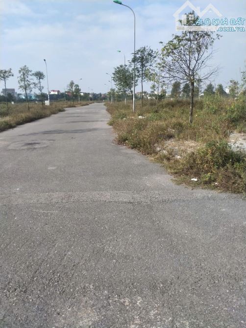 đất đông hương mặt bằng 3208 hàng ngoại giao 2025 - 4