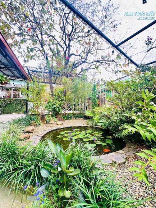 Hiếm: Villa Góc 3 Mặt Tiền Đường Cô Giang. P9. 547m2. Ngang 20m. Khu Sang Trọng. Giá 40Ty - 7