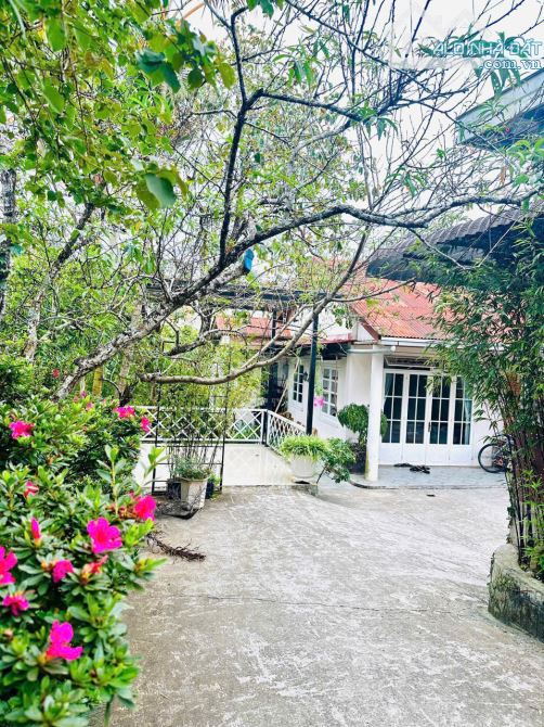 Hiếm: Villa Góc 3 Mặt Tiền Đường Cô Giang. P9. 547m2. Ngang 20m. Khu Sang Trọng. Giá 40Ty - 8