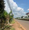 THANH LÝ LÔ ĐẤT CLN PHỦ HỒNG 1077M2, GIÁ 570TR SANG TÊN, SÁT KCN LONG TÂN