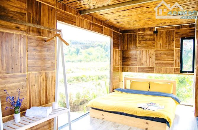 MUA ĐẤT TẶNG HOMESTAY 5 PHÒNG NGỦ MẶT TIỀN TÔ HIỆU 304M GIÁ 15 TỶ - 2