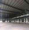 Bán Nhà Xưởng 30.000m2 Trong KCN Tỉnh Bình Dương.