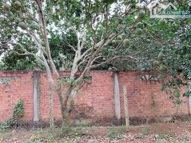 Bán khoảng 1 sào (1009m2) đất Láng Lớn, huyện Châu Đức, BRVT. - 1