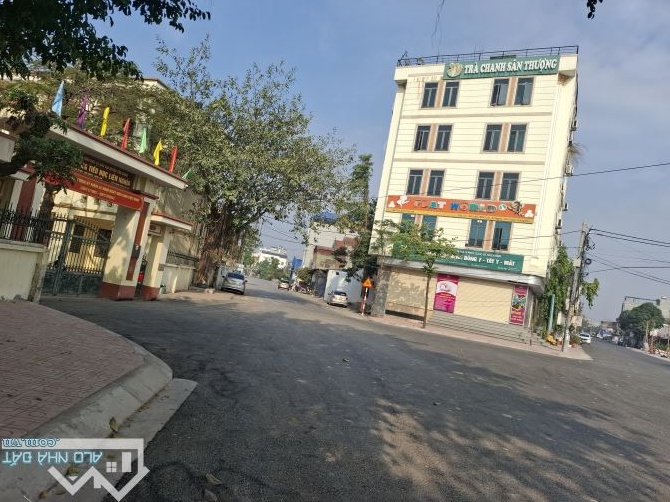 Bán đất Liên Nghĩa Văn Giang Hưng Yên Dt : 400m2 * 20m * 12,4  tỷ - 2