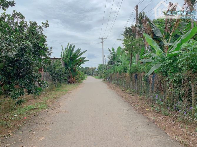 Bán khoảng 1 sào (1009m2) đất Láng Lớn, huyện Châu Đức, BRVT. - 3