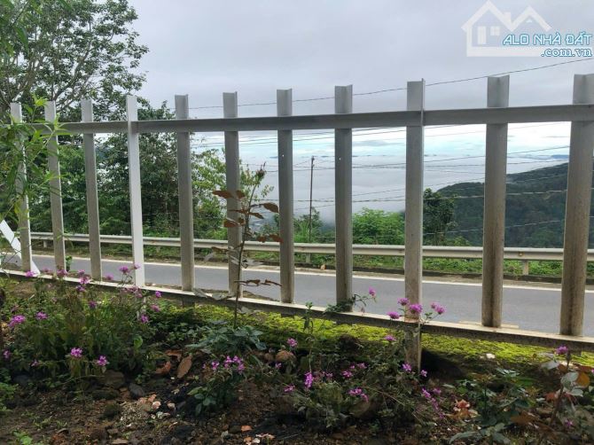 341 m2 đất thổ cư view săn mây thực tế 570 m2 - 5