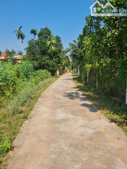 Bán Đất Việt Lập- Tân Yên , Bắc Giang .170m2, MT 7,5m. Đường Ô Tô chạy vi vu. Giá 800tr