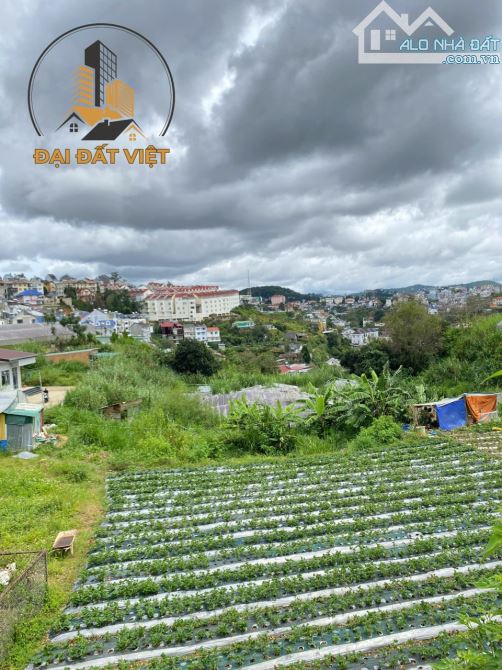 CƠ HỘI ĐẦU TƯ ĐẤT XÂY BIỆT THỰ ĐƯỜNG TRIỆU VIỆT VƯƠNG - 9.3 TỶ
