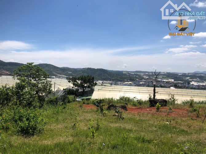 CƠ HỘI ĐẦU TƯ LÔ ĐẤT VIEW TOÀN THỊ TRẤN LẠC DƯƠNG - 5.3 TỶ