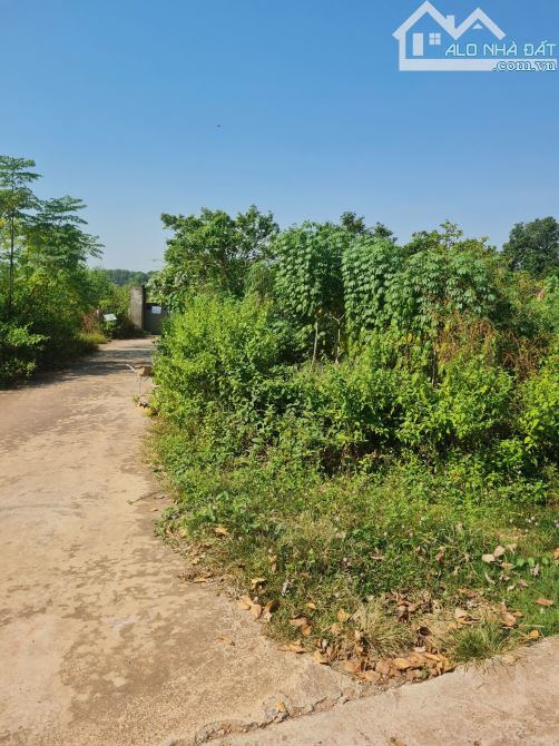 Bán Đất Việt Lập- Tân Yên , Bắc Giang .170m2, MT 7,5m. Đường Ô Tô chạy vi vu. Giá 800tr - 1