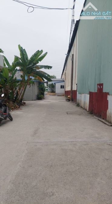 Bán đất Quỳnh Cư, Hùng Vương, Hồng Bàng chỉ 950tr. - 1