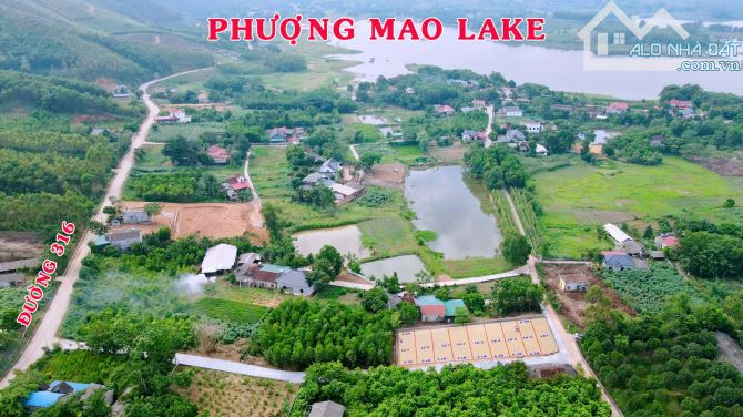 (DUY NHẤT) E CÒN 1 LÔ LK68 ĐẤT THANH THUỶ 135M2 GẦN HỒ PHƯỢNG MAO CHỈ 399 TRIỆU - 1