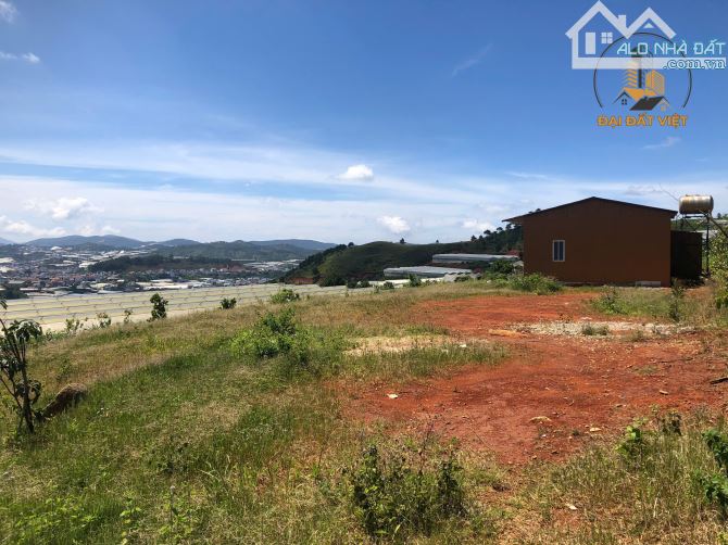 CƠ HỘI ĐẦU TƯ LÔ ĐẤT VIEW TOÀN THỊ TRẤN LẠC DƯƠNG - 5.3 TỶ - 1