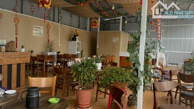 Bán Đất Biệt Thự Khách Sạn Tặng Nhà Tôn 1 Trệt Kiên Cố Tô Hiến Thành, P3, Đà Lạt - 39.5 tỷ - 2