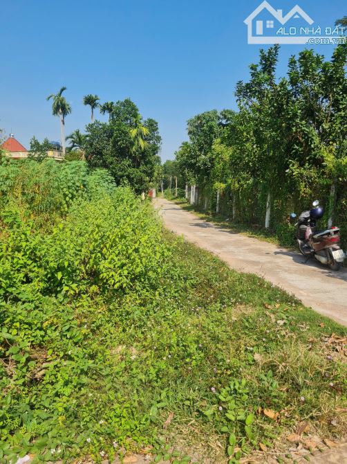 Bán Đất Việt Lập- Tân Yên , Bắc Giang .170m2, MT 7,5m. Đường Ô Tô chạy vi vu. Giá 800tr - 3