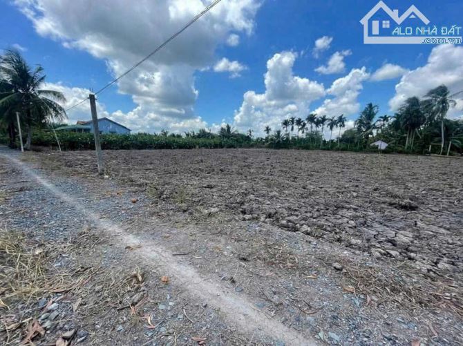 816 Bình Đức/  SHR  250m2 Thổ + 1670m2 VƯỜN(MT NGANG 40x49m2) - 3