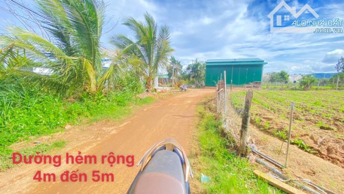 Bán 1 sào hẻm phú hội, đức trọng 980 triệu nguyên lô - 3