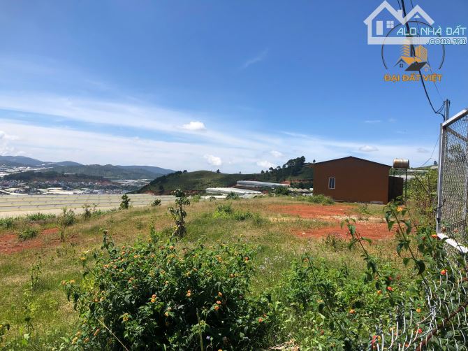 CƠ HỘI ĐẦU TƯ LÔ ĐẤT VIEW TOÀN THỊ TRẤN LẠC DƯƠNG - 5.3 TỶ - 3