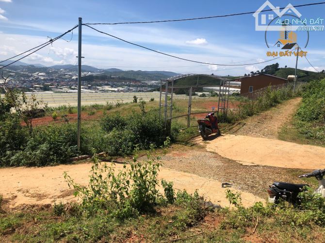 CƠ HỘI ĐẦU TƯ LÔ ĐẤT VIEW TOÀN THỊ TRẤN LẠC DƯƠNG - 5.3 TỶ - 4