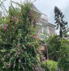 🏚 BIỆT THỰ CAO CẤP - AN SINH CỰC ĐỈNH, ĐẲNG CẤP CHO GIỚI THƯỢNG LƯU !