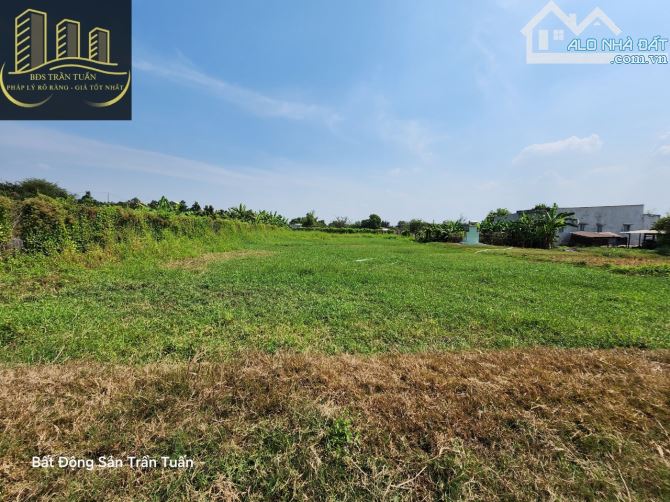 1.209 m² Đất LUA được lên Thổ, Vị Trí Đẹp