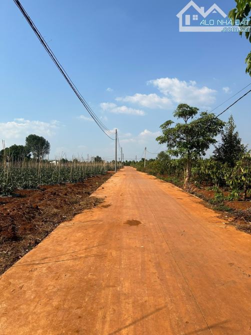 Cần bán 30m mặt tiền đường chính thôn đại đồng - 1