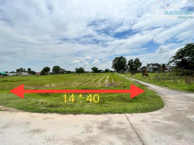 Bán nền đất 14 x40m (558m2) ấp Rừng Sến, xã Mỹ Hạnh Bắc, Đức Hòa, Long An giá 3.8 tỷ - 1
