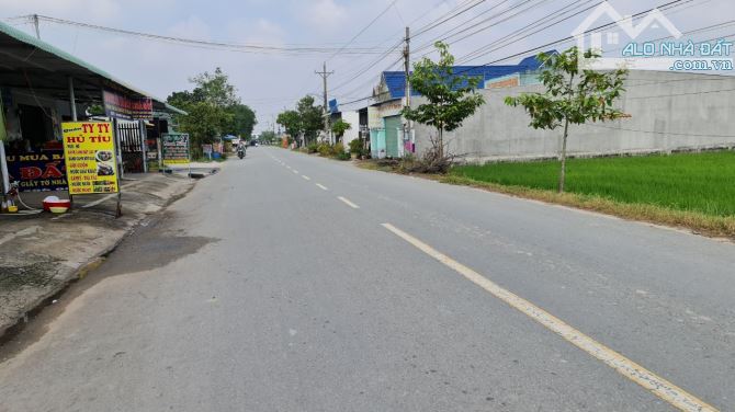 Bán nền đất 14 x40m (558m2) ấp Rừng Sến, xã Mỹ Hạnh Bắc, Đức Hòa, Long An giá 3.8 tỷ - 2