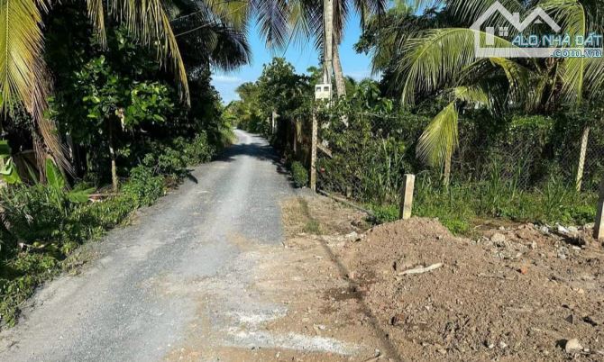 Đất Mt đường 6 m, cách cao tốc 300 m, xã Lợi Bình Nhơn, TP Tân An - 1